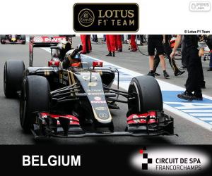 Puzzle Ρομαίν Grosjean, GP Βελγίου 2015